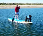 Lara Stand Up Paddleboards With Her Doggie Snorkel